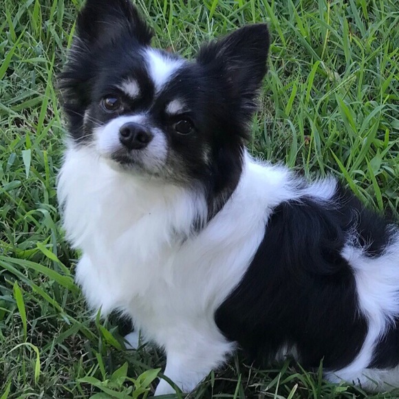 Meet your Posher, Mary - Picture 9 of 16